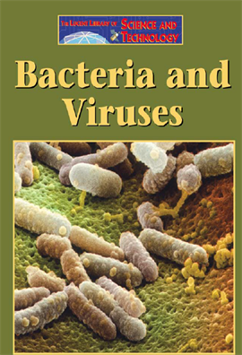 Bacteria and Viruses